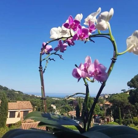 Hameau Du Soleil Lejlighed Cavalaire-sur-Mer Eksteriør billede